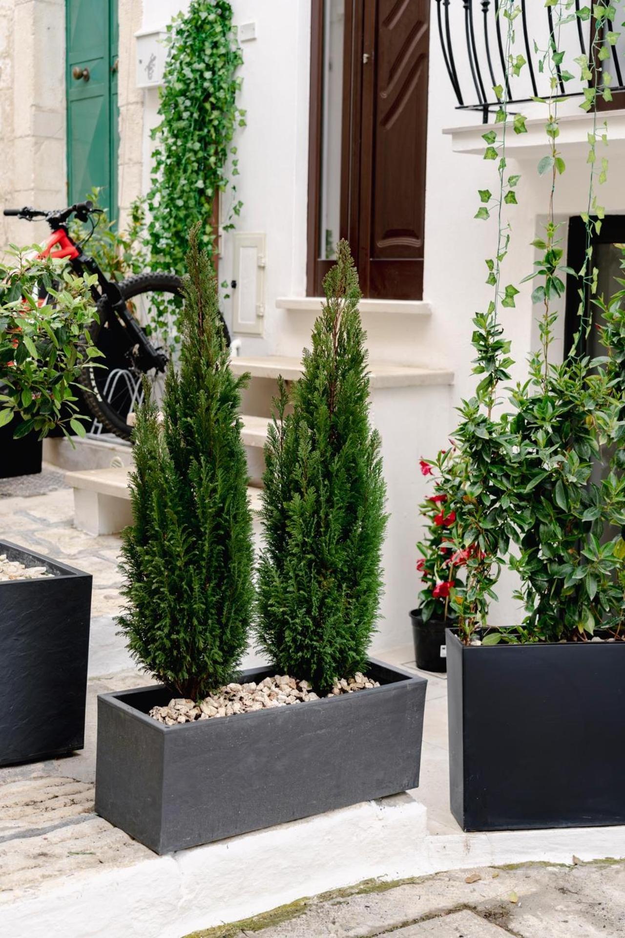 La Maison - Private Wellness Ostuni Ngoại thất bức ảnh